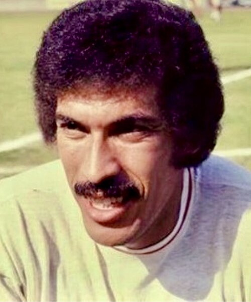 Hassan Shehata