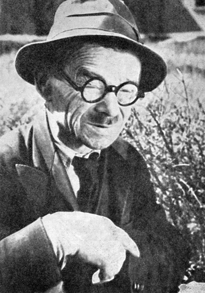 Nikifor Krynicki