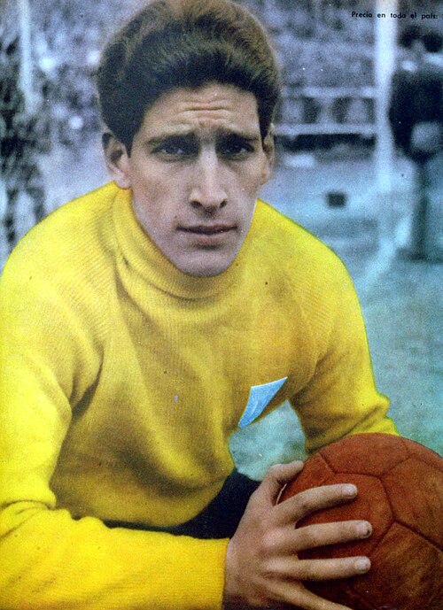 Rogelio Domínguez
