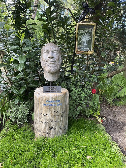 Ademola Okulaja