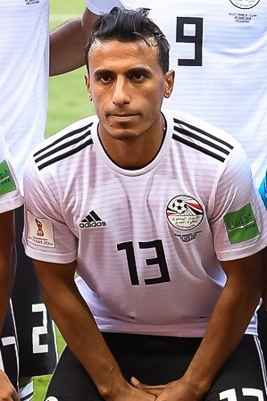 Mohamed Abdel-Shafy