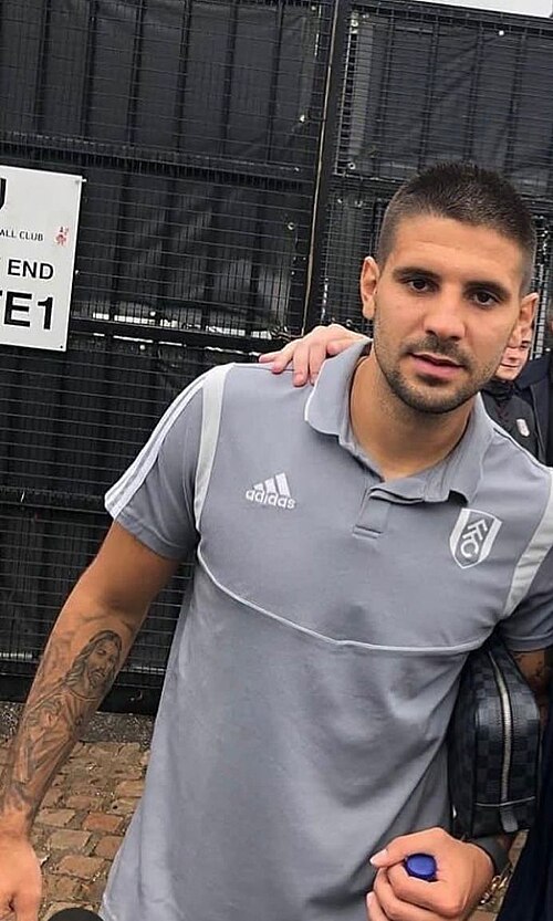 Aleksandar Mitrovic