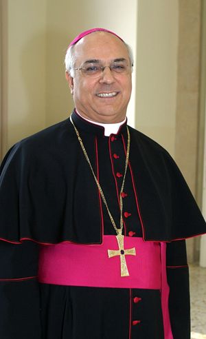 Vincenzo Bertolone