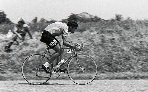 Josep Pesarrodona