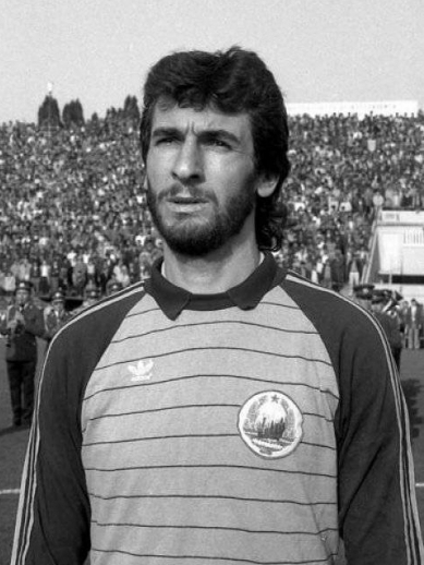 Silviu Lung