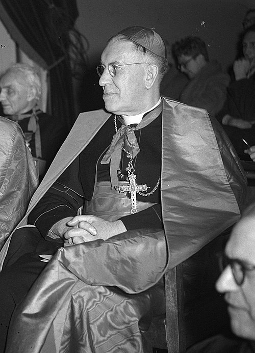 Johannes de Jong