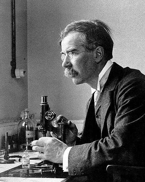 Almroth Wright