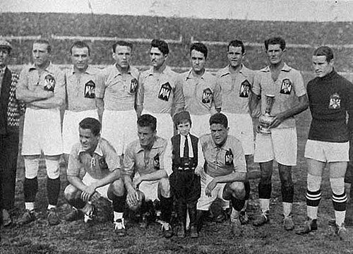 Ljubiša Stevanović