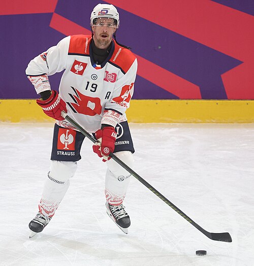 Roman Červenka